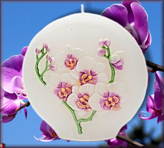 Voňavá, aromatická sviečka - Orchid Bouquet