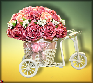 Kytica ruží na bicykli